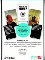 What Do You Meme? Tiktok Meme Edition